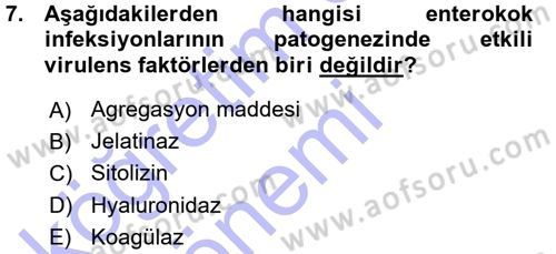 Veteriner Mikrobiyoloji ve Epidemiyoloji Dersi 2015 - 2016 Yılı (Vize) Ara Sınav Soruları 7. Soru