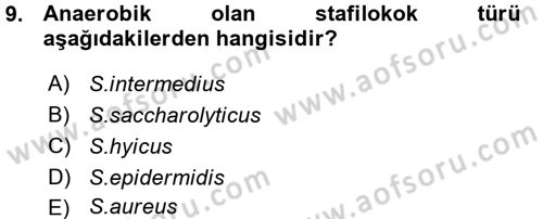 Veteriner Mikrobiyoloji ve Epidemiyoloji Dersi 2015 - 2016 Yılı (Vize) Ara Sınav Soruları 9. Soru