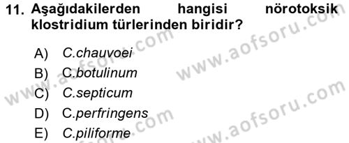 Veteriner Mikrobiyoloji ve Epidemiyoloji Dersi 2015 - 2016 Yılı (Final) Dönem Sonu Sınavı 11. Soru