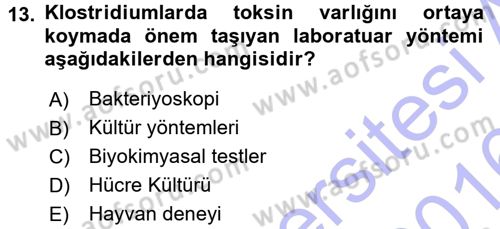 Veteriner Mikrobiyoloji ve Epidemiyoloji Dersi 2015 - 2016 Yılı (Final) Dönem Sonu Sınavı 13. Soru