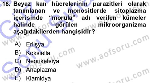 Veteriner Mikrobiyoloji ve Epidemiyoloji Dersi 2015 - 2016 Yılı (Final) Dönem Sonu Sınav Soruları 18. Soru