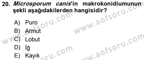 Veteriner Mikrobiyoloji ve Epidemiyoloji Dersi 2015 - 2016 Yılı (Final) Dönem Sonu Sınav Soruları 20. Soru