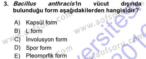 Veteriner Mikrobiyoloji ve Epidemiyoloji Dersi 2015 - 2016 Yılı (Final) Dönem Sonu Sınav Soruları 3. Soru
