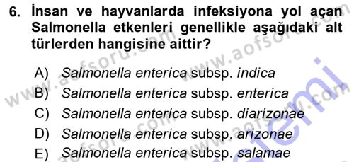 Veteriner Mikrobiyoloji ve Epidemiyoloji Dersi 2015 - 2016 Yılı (Final) Dönem Sonu Sınav Soruları 6. Soru
