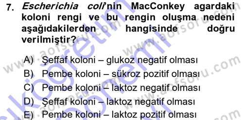 Veteriner Mikrobiyoloji ve Epidemiyoloji Dersi 2015 - 2016 Yılı (Final) Dönem Sonu Sınav Soruları 7. Soru