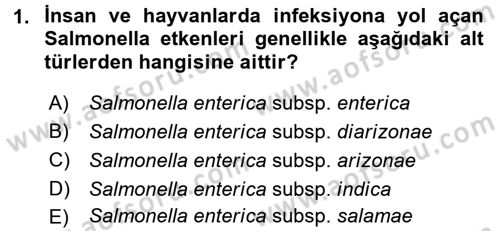Veteriner Mikrobiyoloji ve Epidemiyoloji Dersi 2015 - 2016 Yılı Tek Ders Sınav Soruları 1. Soru