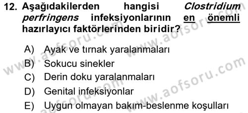 Veteriner Mikrobiyoloji ve Epidemiyoloji Dersi 2015 - 2016 Yılı Tek Ders Sınav Soruları 12. Soru