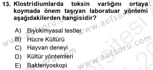 Veteriner Mikrobiyoloji ve Epidemiyoloji Dersi 2015 - 2016 Yılı Tek Ders Sınavı 13. Soru