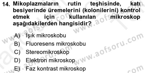 Veteriner Mikrobiyoloji ve Epidemiyoloji Dersi 2015 - 2016 Yılı Tek Ders Sınav Soruları 14. Soru