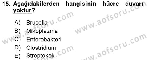 Veteriner Mikrobiyoloji ve Epidemiyoloji Dersi 2015 - 2016 Yılı Tek Ders Sınav Soruları 15. Soru