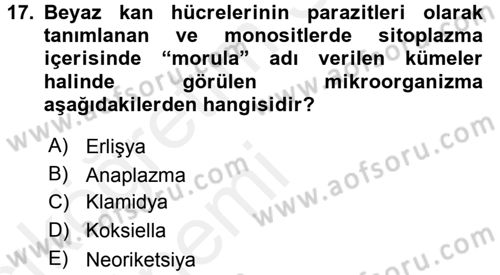 Veteriner Mikrobiyoloji ve Epidemiyoloji Dersi 2015 - 2016 Yılı Tek Ders Sınav Soruları 17. Soru