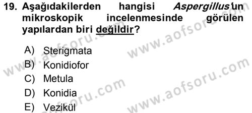 Veteriner Mikrobiyoloji ve Epidemiyoloji Dersi 2015 - 2016 Yılı Tek Ders Sınav Soruları 19. Soru