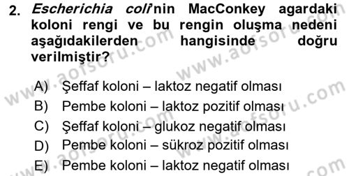 Veteriner Mikrobiyoloji ve Epidemiyoloji Dersi 2015 - 2016 Yılı Tek Ders Sınav Soruları 2. Soru