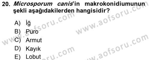 Veteriner Mikrobiyoloji ve Epidemiyoloji Dersi 2015 - 2016 Yılı Tek Ders Sınavı 20. Soru