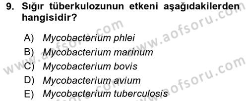 Veteriner Mikrobiyoloji ve Epidemiyoloji Dersi 2015 - 2016 Yılı Tek Ders Sınavı 9. Soru