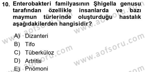 Veteriner Mikrobiyoloji ve Epidemiyoloji Dersi 2016 - 2017 Yılı 3 Ders Sınavı 10. Soru