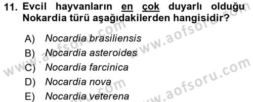 Veteriner Mikrobiyoloji ve Epidemiyoloji Dersi 2016 - 2017 Yılı 3 Ders Sınavı 11. Soru