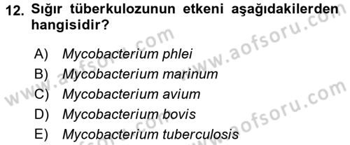 Veteriner Mikrobiyoloji ve Epidemiyoloji Dersi 2016 - 2017 Yılı 3 Ders Sınav Soruları 12. Soru