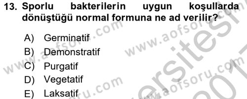 Veteriner Mikrobiyoloji ve Epidemiyoloji Dersi 2016 - 2017 Yılı 3 Ders Sınavı 13. Soru