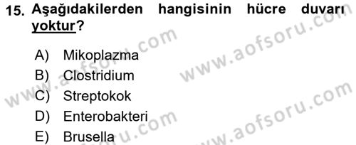 Veteriner Mikrobiyoloji ve Epidemiyoloji Dersi 2016 - 2017 Yılı 3 Ders Sınav Soruları 15. Soru