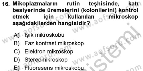 Veteriner Mikrobiyoloji ve Epidemiyoloji Dersi 2016 - 2017 Yılı 3 Ders Sınav Soruları 16. Soru