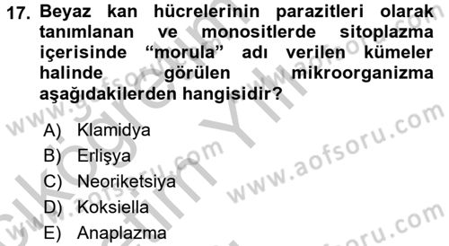 Veteriner Mikrobiyoloji ve Epidemiyoloji Dersi 2016 - 2017 Yılı 3 Ders Sınav Soruları 17. Soru