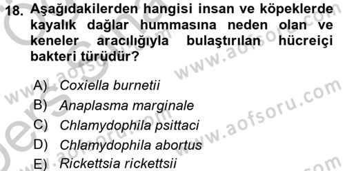 Veteriner Mikrobiyoloji ve Epidemiyoloji Dersi 2016 - 2017 Yılı 3 Ders Sınavı 18. Soru