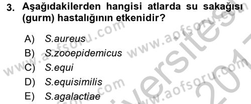 Veteriner Mikrobiyoloji ve Epidemiyoloji Dersi 2016 - 2017 Yılı 3 Ders Sınav Soruları 3. Soru