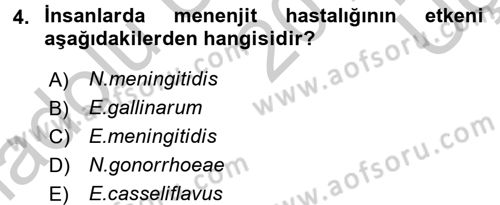 Veteriner Mikrobiyoloji ve Epidemiyoloji Dersi 2016 - 2017 Yılı 3 Ders Sınav Soruları 4. Soru