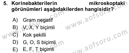 Veteriner Mikrobiyoloji ve Epidemiyoloji Dersi 2016 - 2017 Yılı 3 Ders Sınav Soruları 5. Soru