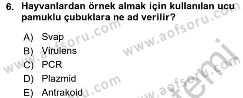 Veteriner Mikrobiyoloji ve Epidemiyoloji Dersi 2016 - 2017 Yılı 3 Ders Sınav Soruları 6. Soru