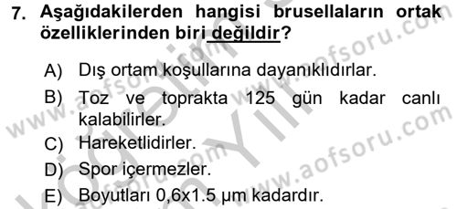 Veteriner Mikrobiyoloji ve Epidemiyoloji Dersi 2016 - 2017 Yılı 3 Ders Sınav Soruları 7. Soru