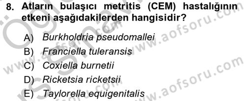 Veteriner Mikrobiyoloji ve Epidemiyoloji Dersi 2016 - 2017 Yılı 3 Ders Sınav Soruları 8. Soru