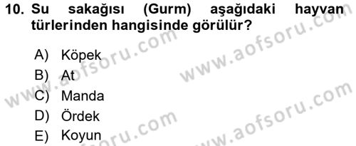 Veteriner Mikrobiyoloji ve Epidemiyoloji Dersi 2016 - 2017 Yılı (Vize) Ara Sınavı 10. Soru