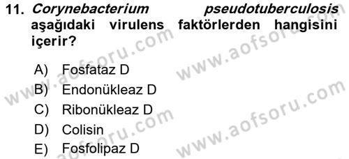 Veteriner Mikrobiyoloji ve Epidemiyoloji Dersi 2016 - 2017 Yılı (Vize) Ara Sınavı 11. Soru