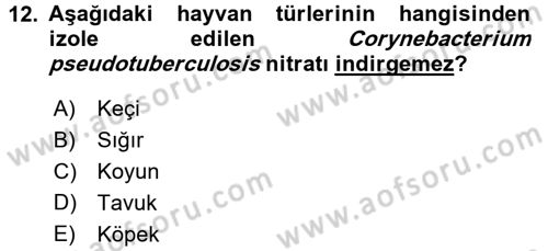 Veteriner Mikrobiyoloji ve Epidemiyoloji Dersi Ara Sınavı Deneme Sınav Soruları 12. Soru