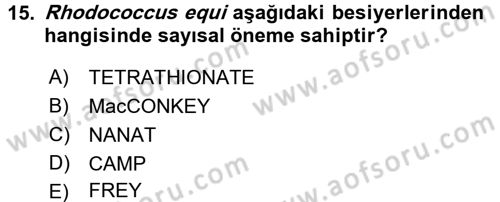 Veteriner Mikrobiyoloji ve Epidemiyoloji Dersi Ara Sınavı Deneme Sınav Soruları 15. Soru