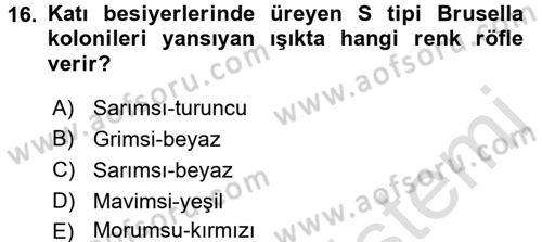 Veteriner Mikrobiyoloji ve Epidemiyoloji Dersi 2016 - 2017 Yılı (Vize) Ara Sınav Soruları 16. Soru