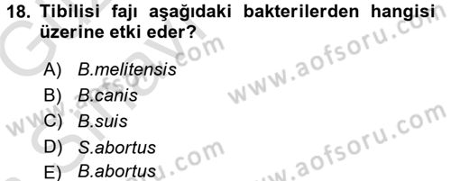 Veteriner Mikrobiyoloji ve Epidemiyoloji Dersi 2016 - 2017 Yılı (Vize) Ara Sınav Soruları 18. Soru