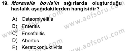 Veteriner Mikrobiyoloji ve Epidemiyoloji Dersi 2016 - 2017 Yılı (Vize) Ara Sınavı 19. Soru