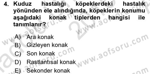 Veteriner Mikrobiyoloji ve Epidemiyoloji Dersi Ara Sınavı Deneme Sınav Soruları 4. Soru