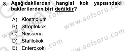 Veteriner Mikrobiyoloji ve Epidemiyoloji Dersi Ara Sınavı Deneme Sınav Soruları 8. Soru