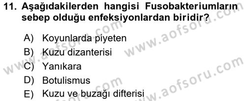 Veteriner Mikrobiyoloji ve Epidemiyoloji Dersi 2016 - 2017 Yılı (Final) Dönem Sonu Sınav Soruları 11. Soru
