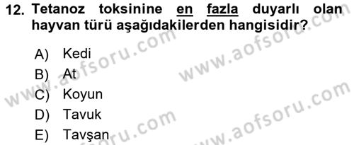 Veteriner Mikrobiyoloji ve Epidemiyoloji Dersi 2016 - 2017 Yılı (Final) Dönem Sonu Sınav Soruları 12. Soru
