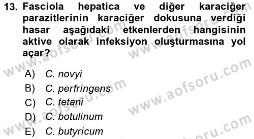 Veteriner Mikrobiyoloji ve Epidemiyoloji Dersi 2016 - 2017 Yılı (Final) Dönem Sonu Sınav Soruları 13. Soru