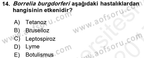 Veteriner Mikrobiyoloji ve Epidemiyoloji Dersi 2016 - 2017 Yılı (Final) Dönem Sonu Sınav Soruları 14. Soru