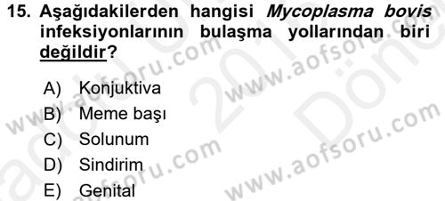 Veteriner Mikrobiyoloji ve Epidemiyoloji Dersi 2016 - 2017 Yılı (Final) Dönem Sonu Sınav Soruları 15. Soru