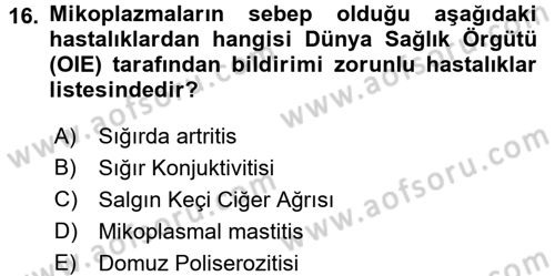 Veteriner Mikrobiyoloji ve Epidemiyoloji Dersi 2016 - 2017 Yılı (Final) Dönem Sonu Sınav Soruları 16. Soru