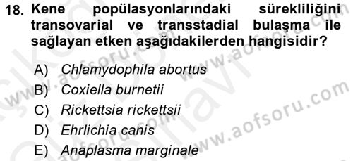 Veteriner Mikrobiyoloji ve Epidemiyoloji Dersi 2016 - 2017 Yılı (Final) Dönem Sonu Sınav Soruları 18. Soru