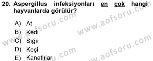 Veteriner Mikrobiyoloji ve Epidemiyoloji Dersi 2016 - 2017 Yılı (Final) Dönem Sonu Sınav Soruları 20. Soru